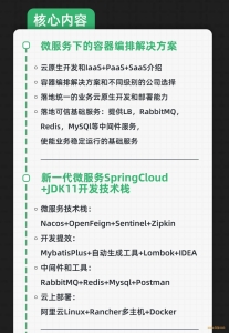 工业级PaaS云平台 SpringCloudAlibaba+JDK11综合项目实战课程介绍截图