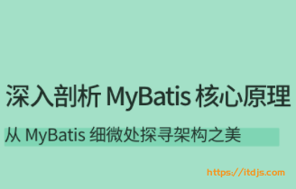 拉勾 深入剖析MyBatis核心原理