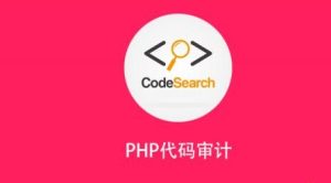 安全牛PHP代码审计图