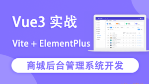 Vue3实战商城后台管理系统开发图