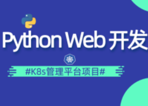 阿良python devops开发实战图