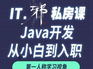 老邪Java从小白到入职私房课图