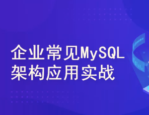 企业常见MySQL架构应用实战(高可用集群系统+调优经验)图