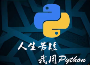 Python数据处理实战：基于真实场景的数据图