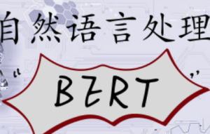 Python自然语言处理-BERT实战图