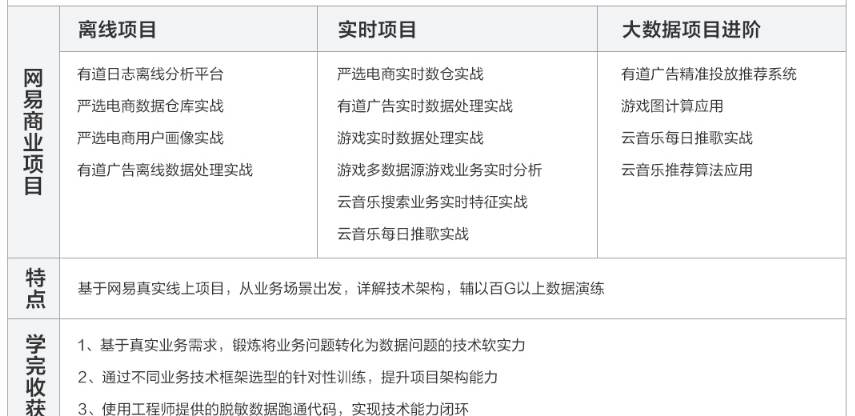 网易微专业大数据开发工程师课程介绍图