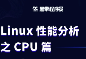 Linux性能分析之CPU篇图