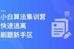 小白算法集训营-大幅提升刷题量，快速逃离新手区